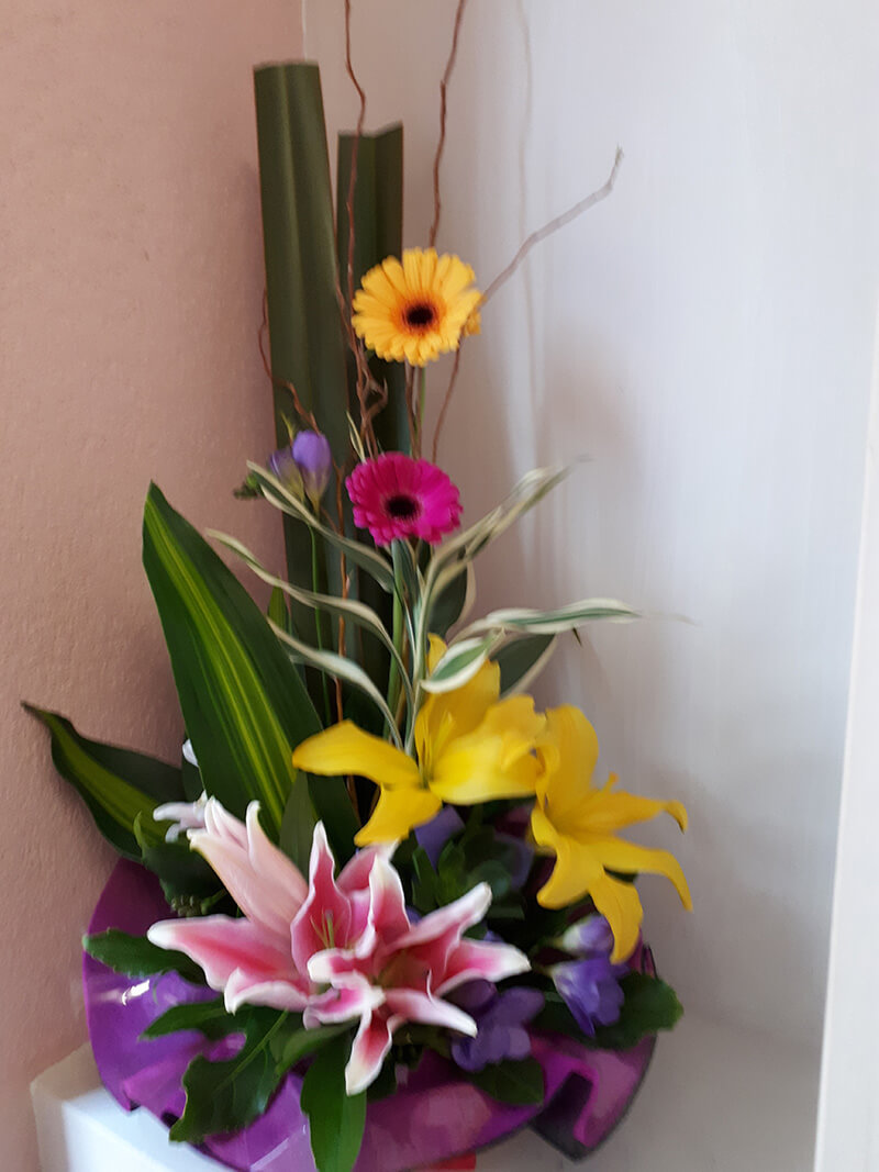Flower Delivery Wellington Flower Arrangement Gallery Porirua