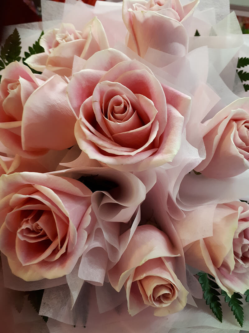 Flower Delivery Wellington Flower Arrangement Gallery Porirua