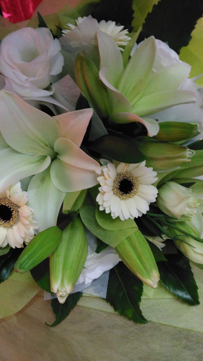 Flower Delivery Wellington Flower Arrangement Gallery Porirua