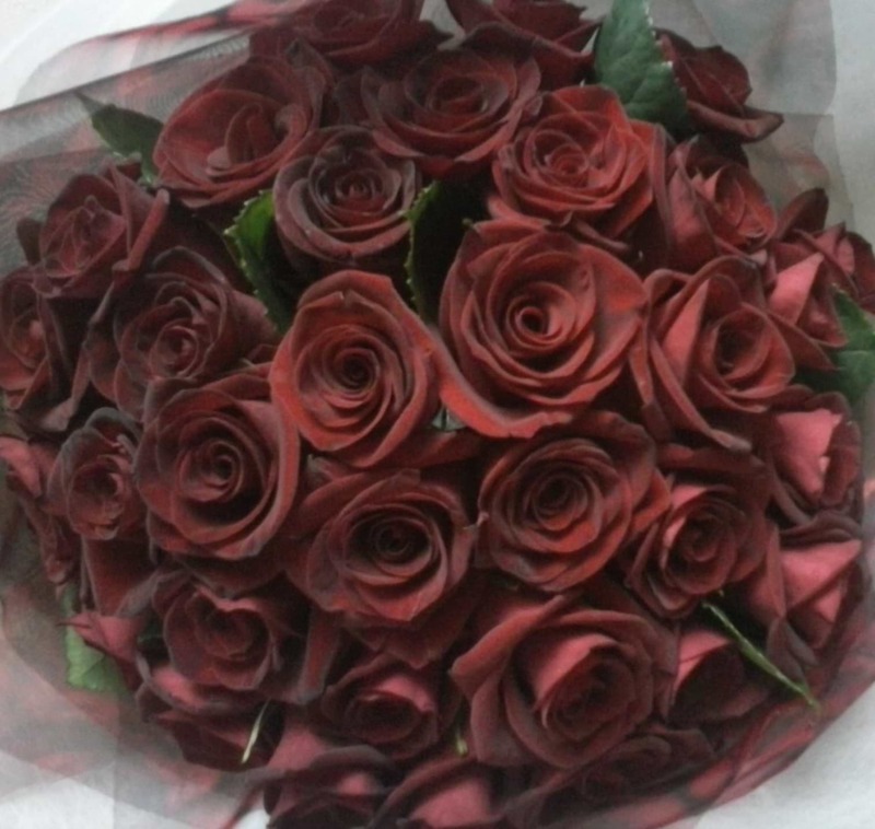 Flower Delivery Wellington Flower Arrangement Gallery Porirua